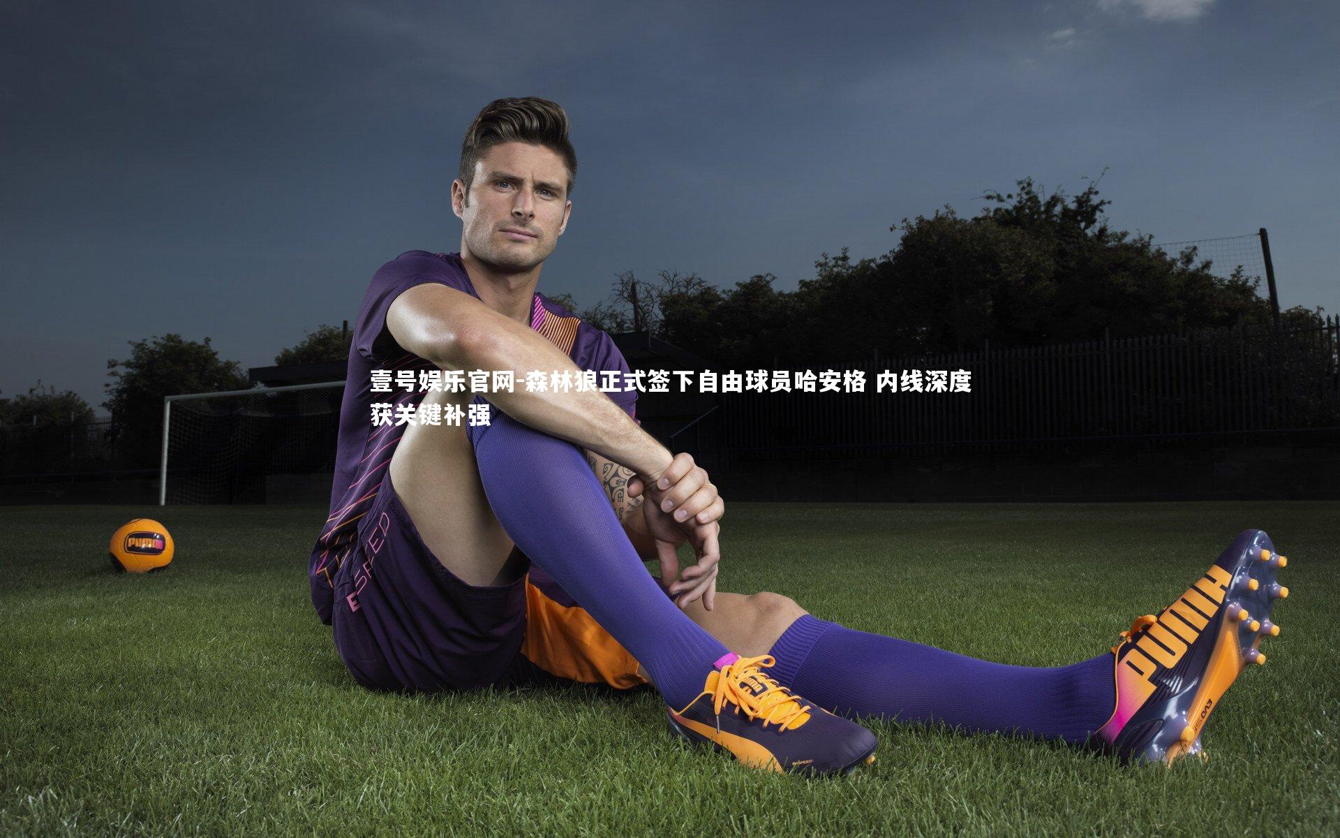 森林狼正式签下自由球员哈安格 内线深度获关键补强
